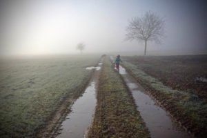 Schwarzwald Feldweg im Nebel