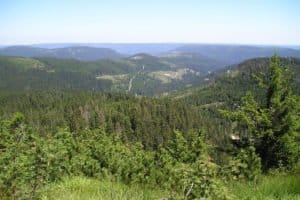 Blick auf den Schwarzwald